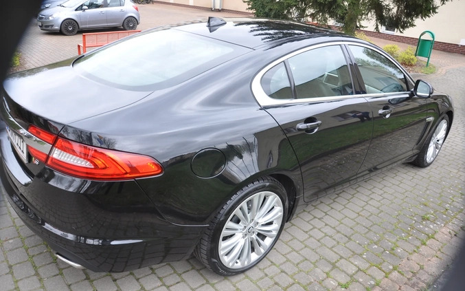 Jaguar XF cena 59900 przebieg: 226000, rok produkcji 2014 z Recz małe 436